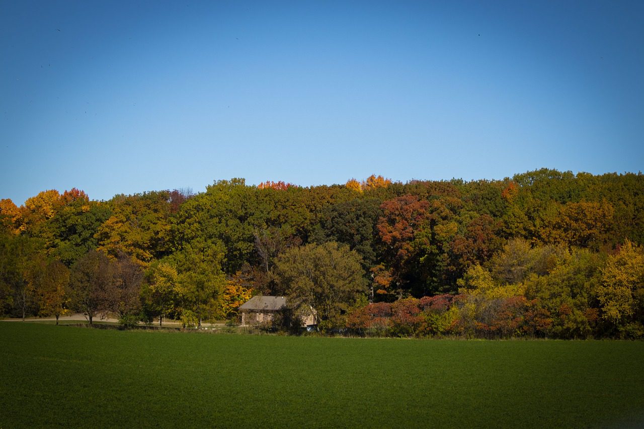 Wisconsin in the Fall Wisconsin in the Fall
