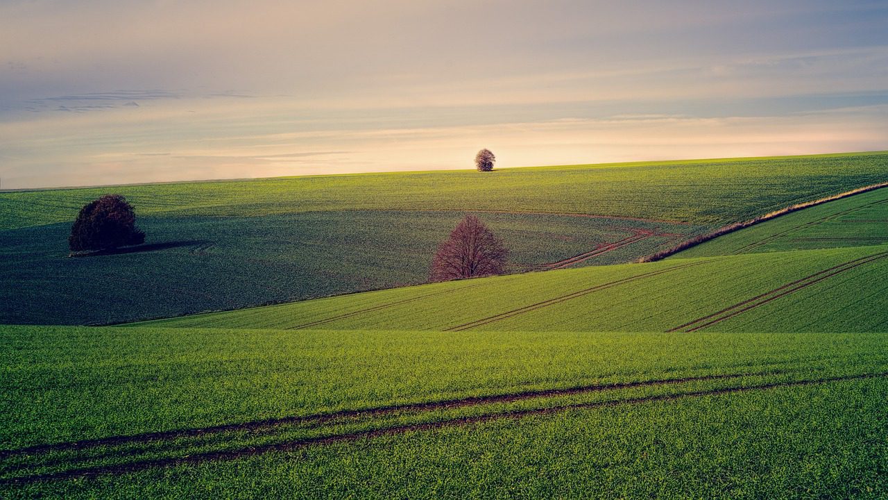 Is It A Good Idea to buy land now Is It A Good Idea to buy land now