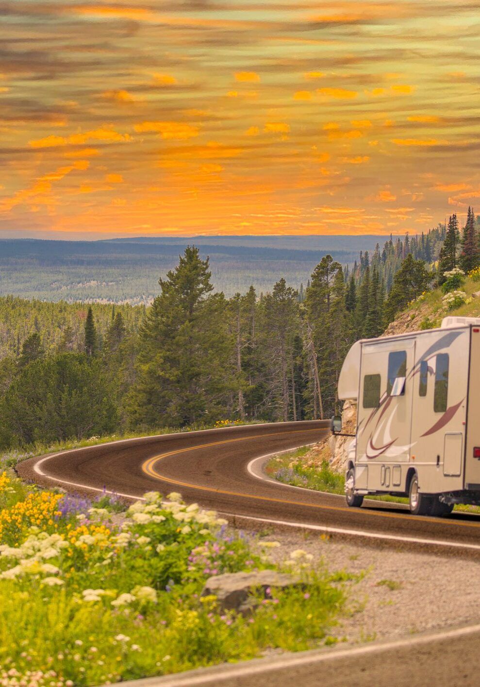 Camper Driving Down Road in The Beautiful Countryside Among Pine Trees and Flowers.